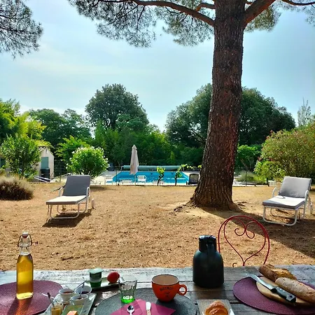Holiday home Basilic Mas Bel Esperance Saint-Andre-d'Olerargues